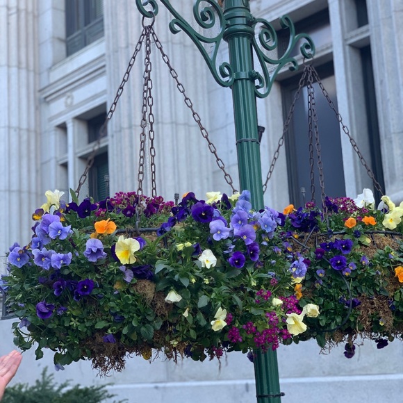 Meet your Posher, Lina - Picture 1 of 1